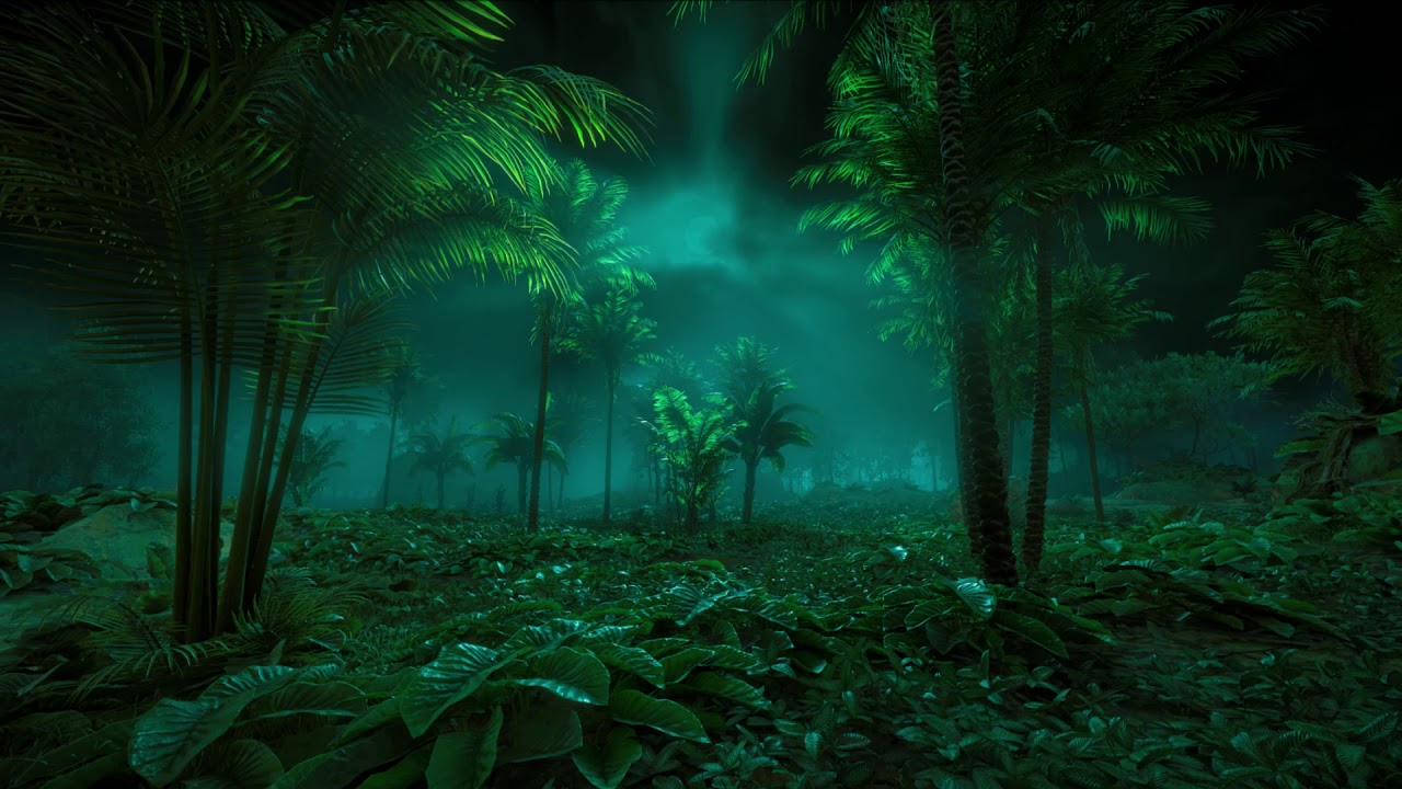 Rainy Jungle Night Relaxing Harp Music with Nature Sounds YouTube
