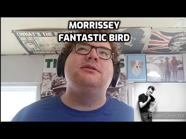 Morrissey - Fantastic Bird | Reaction! class=