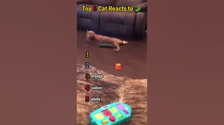 Watch the video about Top 5 cat gets scared by Cucumber! 😂 | Funny Cat Reaction #Shorts