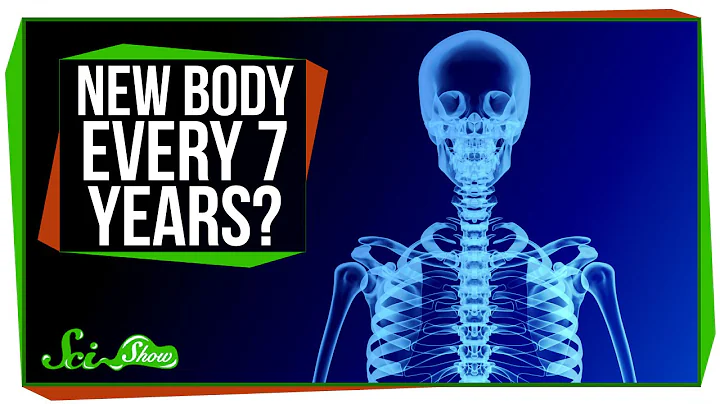 Do You Really Have a New Body Every 7 Years? - DayDayNews