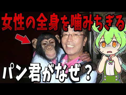 パンくん hqdefault.jpg