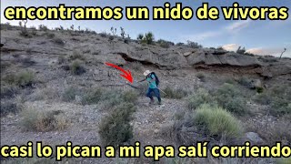 Mis aventuras del oeste # 517 encontramos nido de serpentinas 