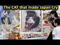 القصة الحقيقية لقطة تاما التي أبكت اليابان