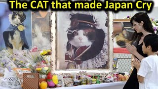 The True Story of the TAMA Cat that Made Japan Cry