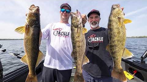 Cotton Cordell CC Shad VS Bandit Walleye Shad