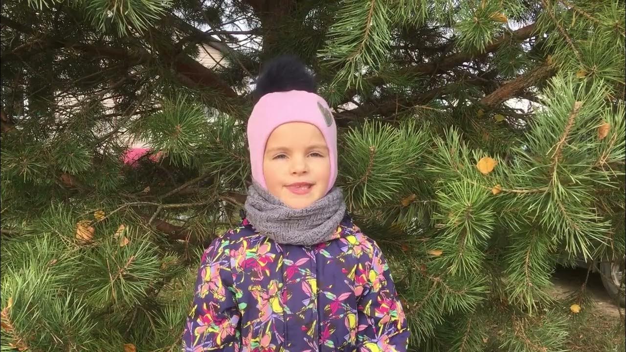 Сальникова Василиса Алексеевна «Осень» (К. Бальмонт) - YouTube