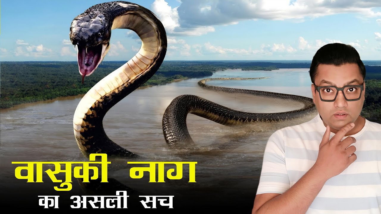 Insane Discovery In India World s titanoboa-vs-vasuki-indicus-who-would-win-youtube