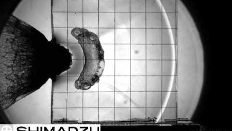 High Speed Collision of Resin Sphere1