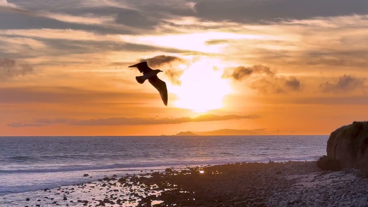 Music for Meditation & Relaxation  - "In Fields of Peace" Liquid Mind