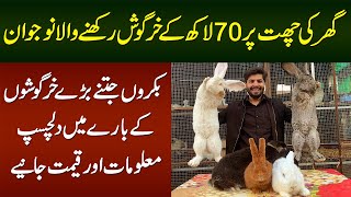 Ghar Ki Chat Per 70 Lakh Ke Bakron Jitne Baray Rabbits Rakhne Wala Naujawan