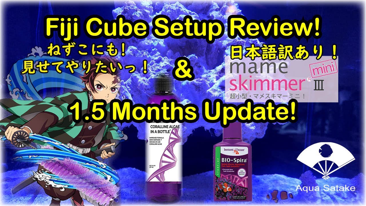 Fiji Cube Setup, Product Reviews & 1.5 Months Update! 日本語訳あり！ YouTube