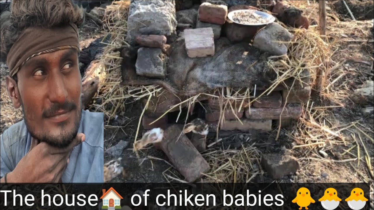 Part 1 chicken🐔 house 🏡