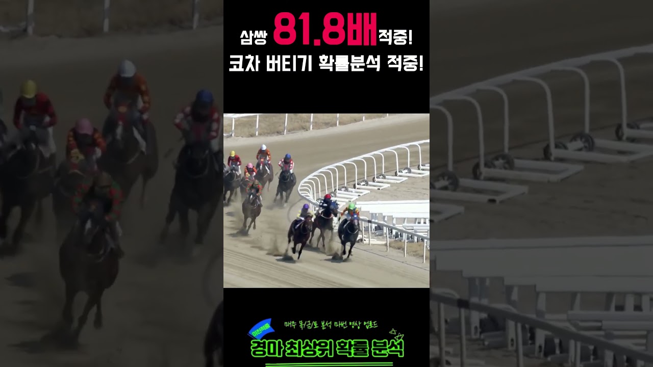 [삼쌍 81.8배] 5,000원 베팅이면 얼마야? | 6번마 쌍축 확률분석 적중! | 26년3월22일 일요경마| #경마 #서울경마 #서울경마적중 #경마적중 #쇼츠 #적중 #일요경마