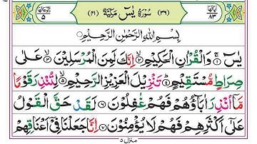 Surah Yasin 🕌💚+ | Surah YASEEN (Ya-Seen) | سورة يس | Live