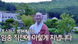 임종 직전 환자가 2002 월드컵 응원하다 1년 넘게 더 산 사연 | 한국인이 유독 죽음을 준비하지 못하는 이유 | 호스피스 완화 의료전문기관 정토마을자재병원장 능행스님 3