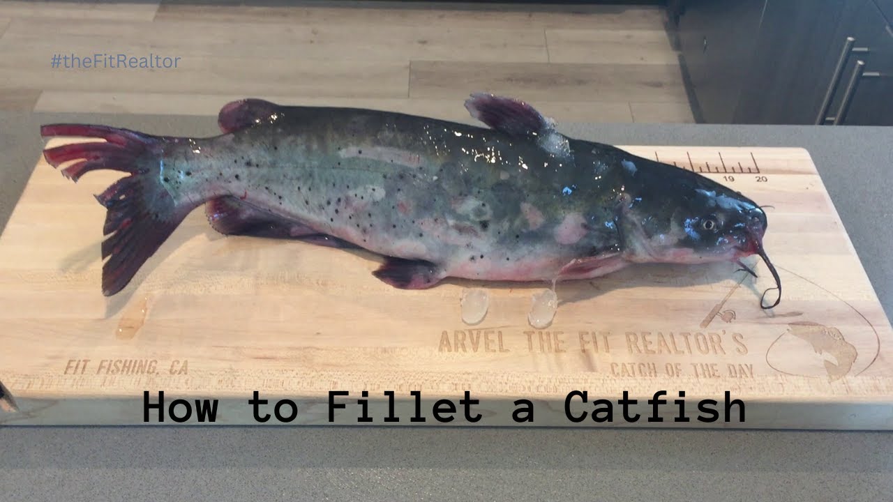 How to Fillet a Catfish Fit Fishing Sharpen Your Fillet Knife YouTube