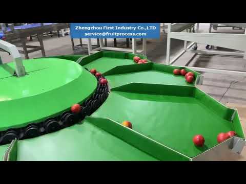 Electronic tomato sorting machine