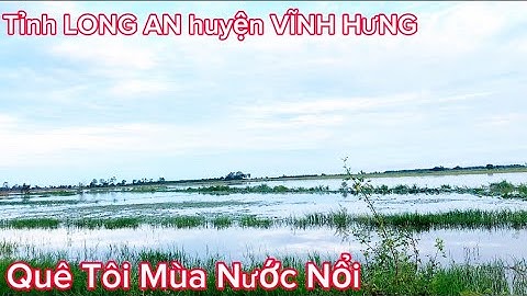 Câu CÁ RÔ ĐỒNG , Nhấp ẾCH ĐỒNG gặp con kênh CÁ TRA quá nhiều @Caucalongan62