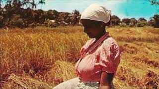 Baithak Gana | Instrumental music | Suriname Guyana Trinidad song