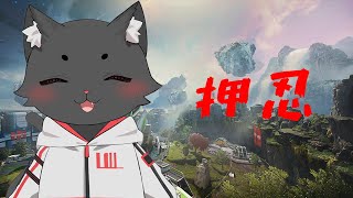 【APEX→VALO→エペ】近況報告
