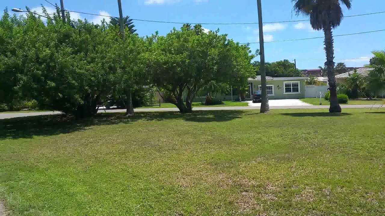 Redington Dr Flip(1)