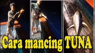 Cara mancing TUNA sirip kuning || How to catch yellow fin TUNA