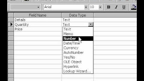 Microsoft Office Access 2000 Number Data Type