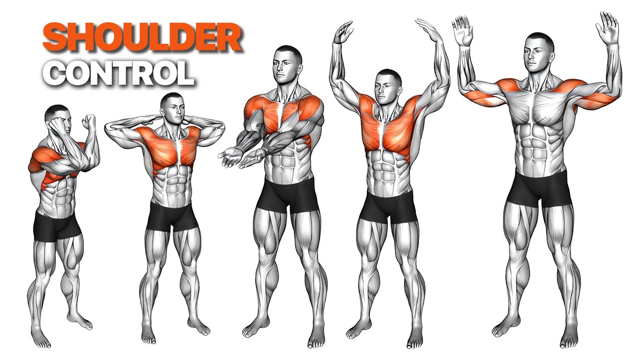 Тренировка для контроля плечевого пояса для начинающих | Безопасная подвижность и стабильность дома