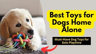 Best Toys for Dogs Home Alone: Doggy Daycare at Home