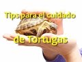 Tips de Tortugas / de todo un poco.