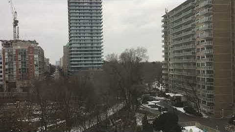 Jolanda - Adam Gurfinkel