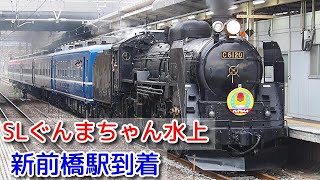 【値下げしました】特急マーク 蒸気機関車 見学記念バッジ ※送料無料 値下げしました】特急マーク 蒸気機関車 見学記念バッジ ※送料無料