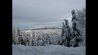 Dorrington CA Road snow conditions 2.25.2023