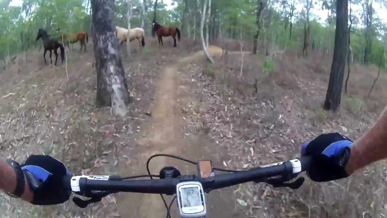 davies creek mountain bike park