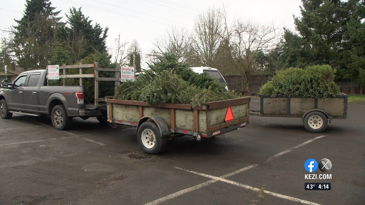 Local scout troop picks up old Christmas trees YouTube