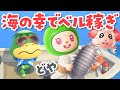 【あつ森】10月の海の幸でベル(お金)稼ぎ！｜ちゃちゃまると作る島づくり【生配信】