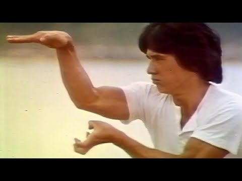 『スネーキーモンキー 蛇拳』 TV日本語吹き替え版　　ジャッキー・チェン