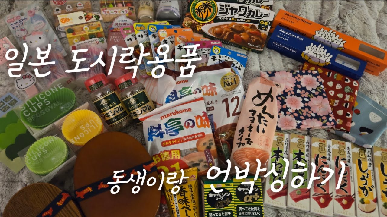 🌟 일본 도시락 용품들 언박싱하기 🍱 (with동생), 일상 브이로그 🌟