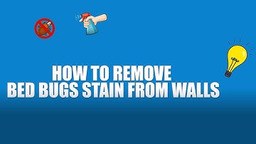 How to remove bed bug stain from walls