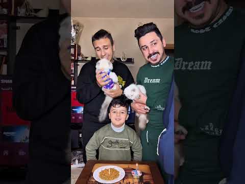 عيد ميلاد سعيد    زيكو والزير