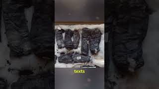 A.i. Decodes Burned Scrolls From Pompeii In Mind-Blowing Discovery