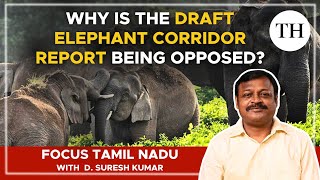 Why is the Draft Elephant Corridor Report being opposed?