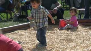 Pumpkin Patch 2008