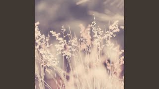 Sublime Moods for Detoxing