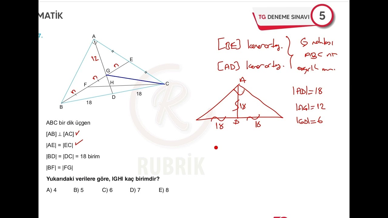 ÖSYM Tahmin Sorular