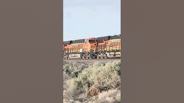 TRAIN SHORTS #00154 / BNSF 7241 EB STACK TRAIN 4-18-2025 #railtrack #train #automobile