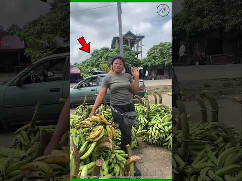 African People Process Bananas In A Unique Way Ytshorts Facts Shortsvideo
