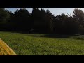 Beginning of video