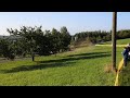 Middle of video
