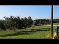 End of video